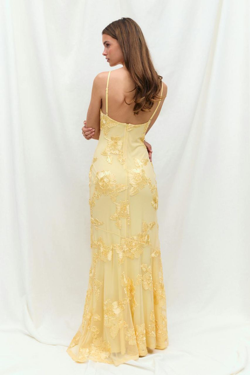 Embroidery Maxi Dress